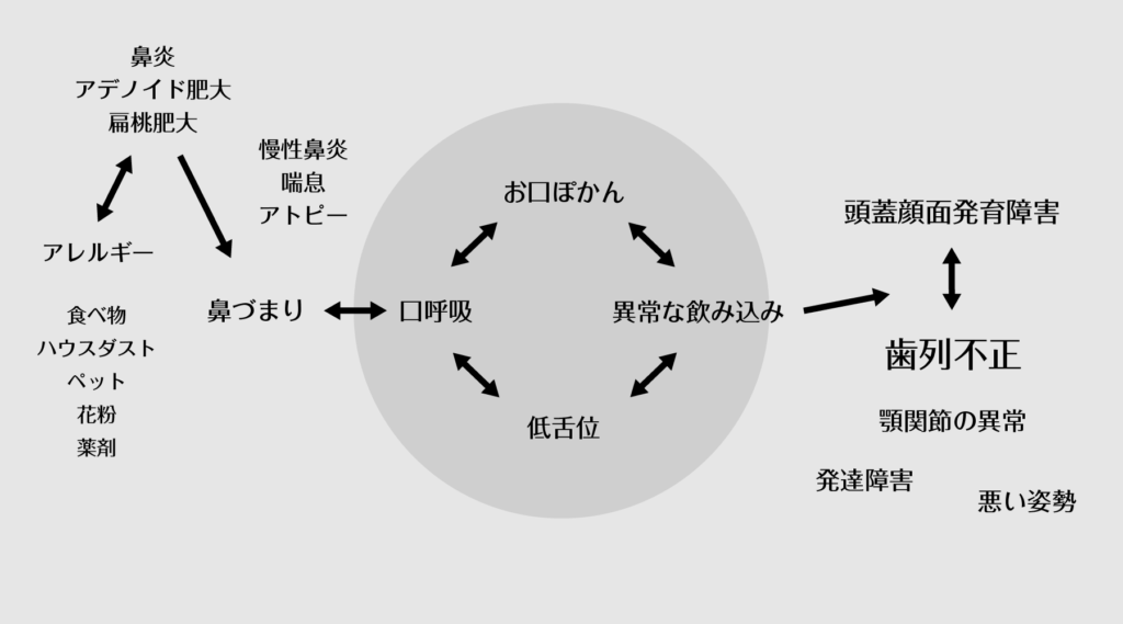 歯並びが悪くなる原因 - 目黒区祐天寺で受ける「小児矯正・矯正歯科」サイト